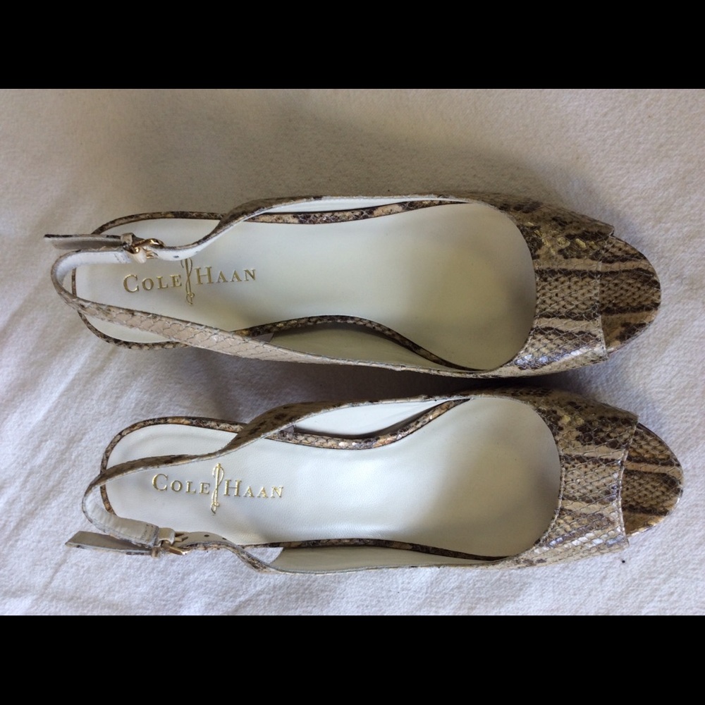 Cole Haan Snake 8B